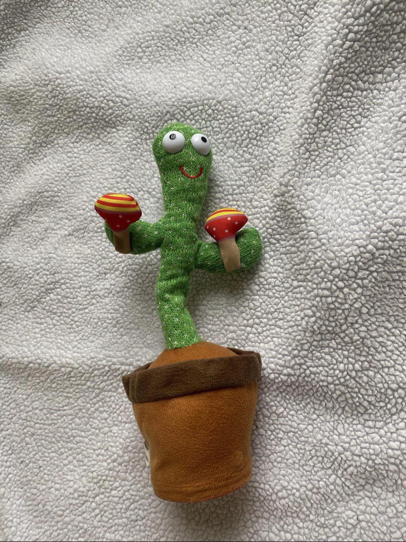 Cactus dançante